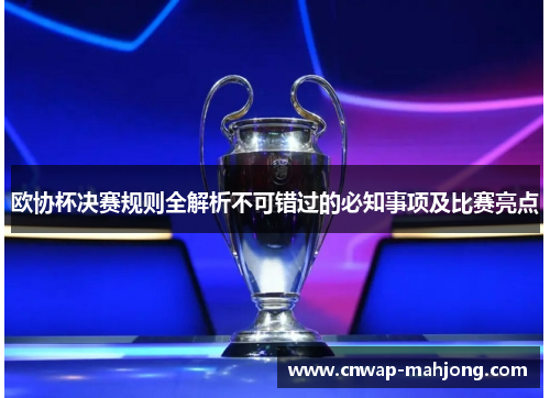 欧协杯决赛规则全解析不可错过的必知事项及比赛亮点