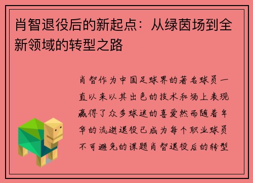 肖智退役后的新起点：从绿茵场到全新领域的转型之路