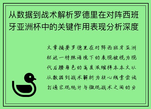 从数据到战术解析罗德里在对阵西班牙亚洲杯中的关键作用表现分析深度
